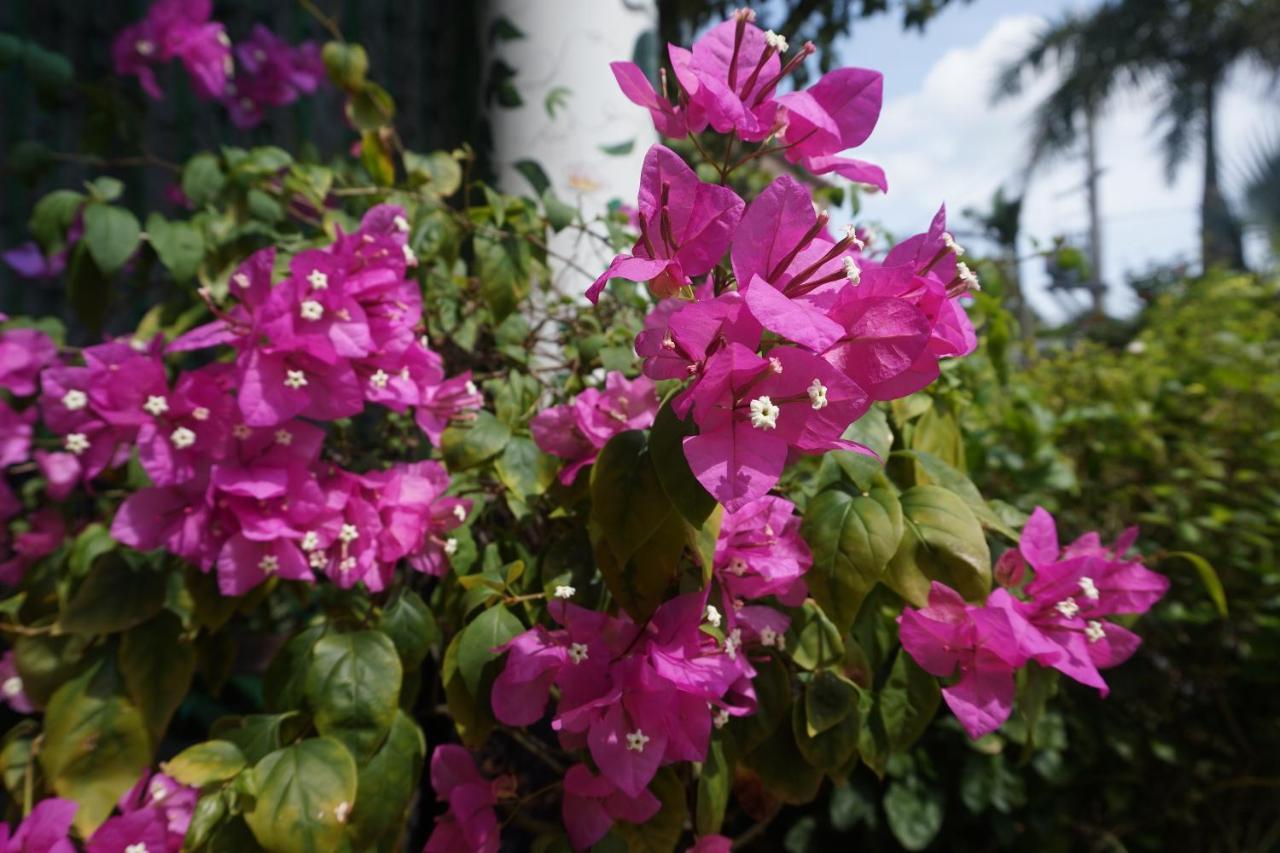 Phu Quoc Hotel מראה חיצוני תמונה